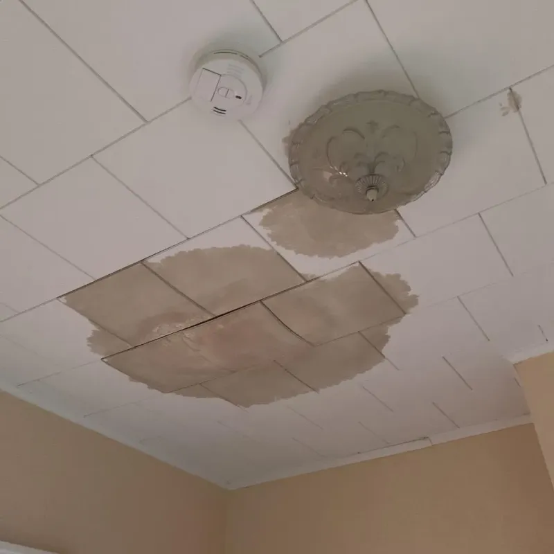 Ceiling Water Damage Repair in Portsmouth Heights, VA
