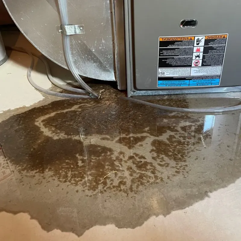 Pipe Burst and Leak Restoration in Portsmouth Heights, VA