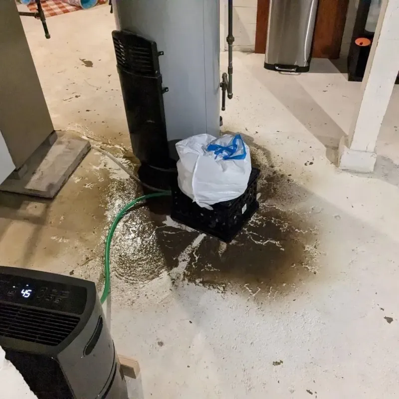 Sewage Backup Cleanup Service in Portsmouth Heights, VA